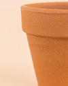 Mini Maceta Terracota Clasic S – 9 cm - Pur Plant