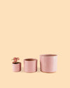 Mini Maceta Terracota Rosa - Pur Plant