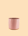 Mini Maceta Terracota Rosa - Pur Plant