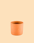 Mini Maceta Terracota S – 9 cm