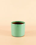 Mini Maceta Terracota Turquesa S - 9 cm