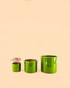 Mini Maceta Terracota Verde - Pur Plant