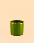 Mini Maceta Terracota Verde