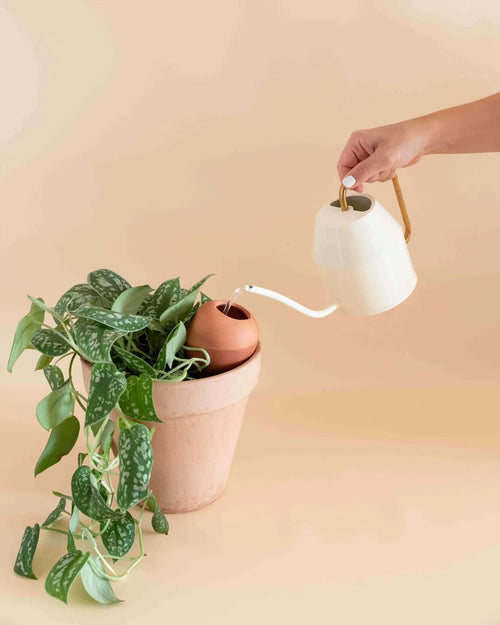 Kit 5x Mini Burbuja Autorriego Terracota 100 ml