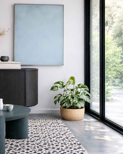 monstera-variegada-l-context