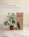 monstera--variegada-l-packaging