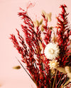 Moulin Rouge – Ramo de Flores Secas - Pur Plant