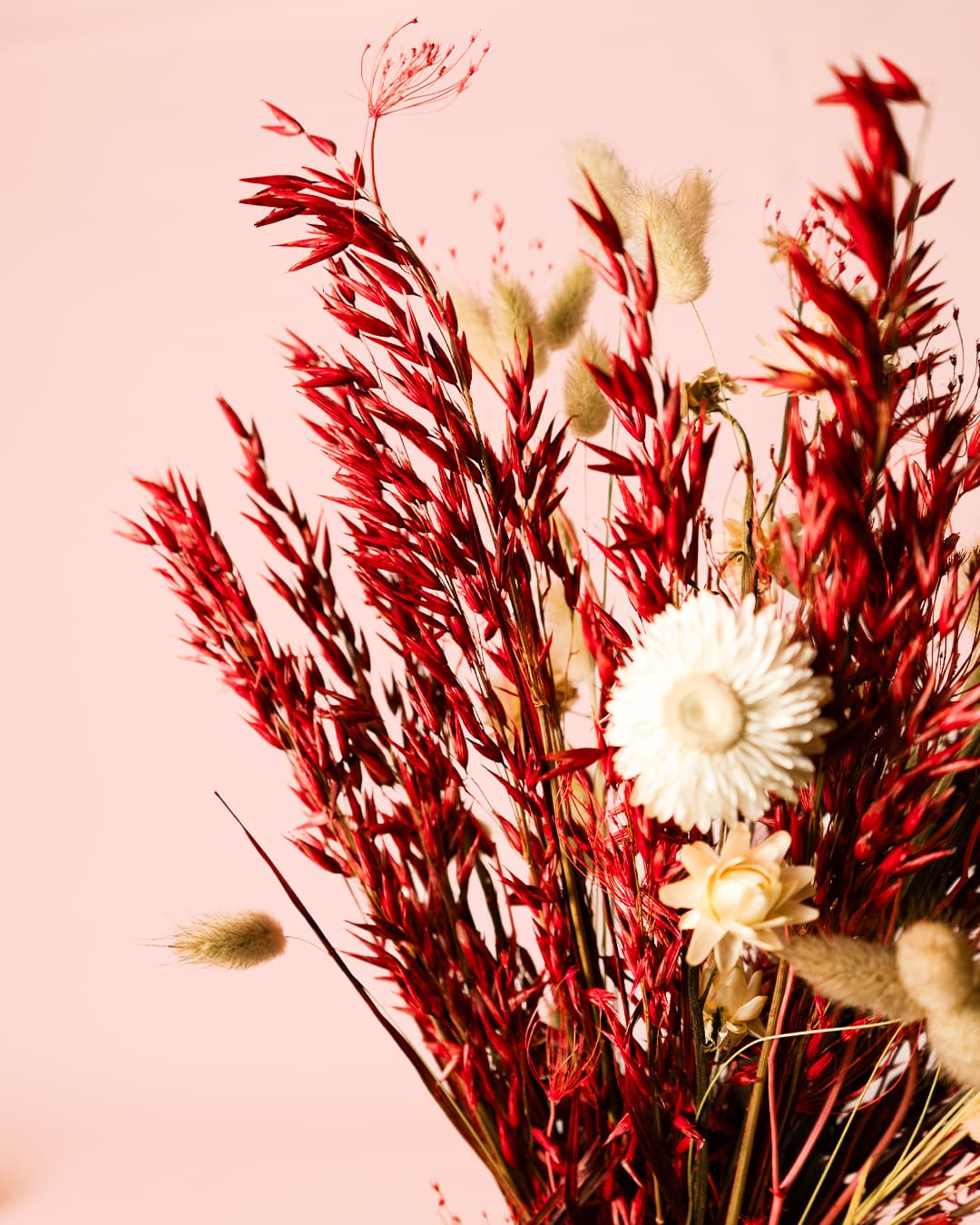 Moulin Rouge – Ramo de Flores Secas - Pur Plant