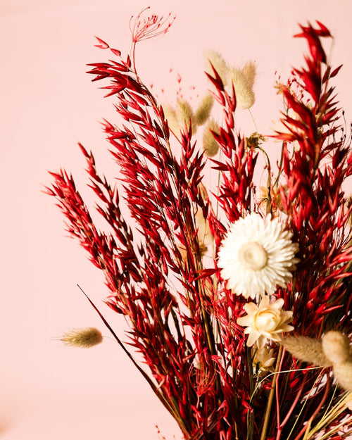 Moulin Rouge – Ramo de Flores Secas - Pur Plant