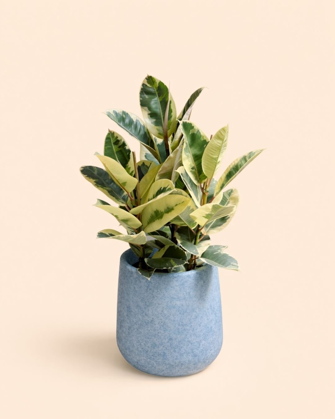 Net - Macetero XL 33,5 cm - Pur Plant
