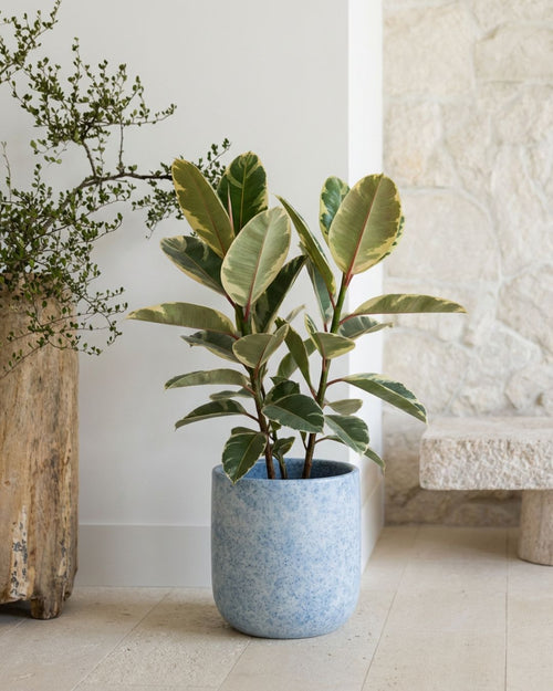Net - Macetero XL 33,5 cm - Pur Plant