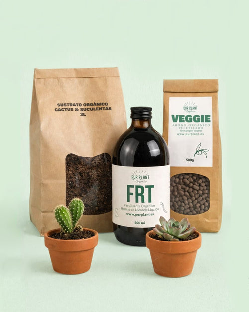 Plant Nutrition Box - Nutrición para Cactus y Suculentas