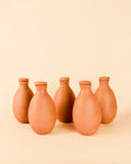 Kit 5x Ollas Autorriego Terracota 1L