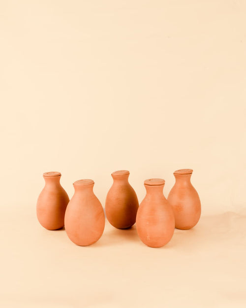 Kit 5x Ollas Autorriego Terracota 350 ml