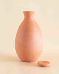Olla Autorriego Natural para huerto 2L