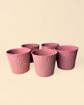 Pack 5x macetas biodegradable rosa 9 cm