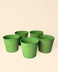 Pack 5x macetas biodegradable verde 9 cm