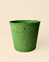 Pack 5x macetas biodegradable verde 9 cm - Pur Plant
