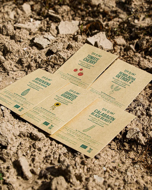 Pack semillas de Primavera Verano - Pur Plant