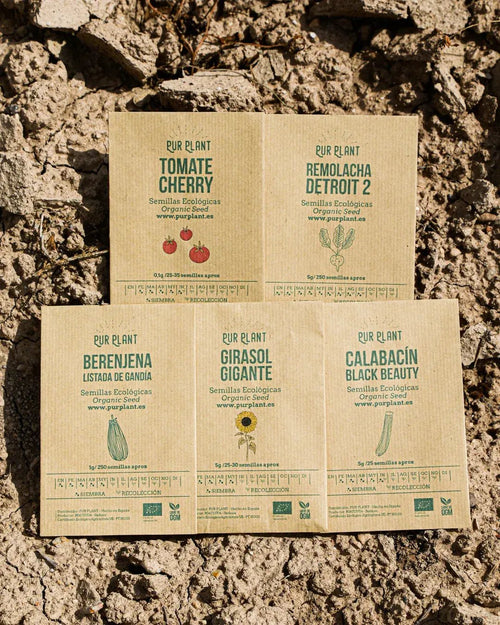 Pack semillas de Primavera Verano - Pur Plant