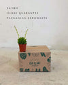 Peperomia Happy Bean Mini - Pur Plant