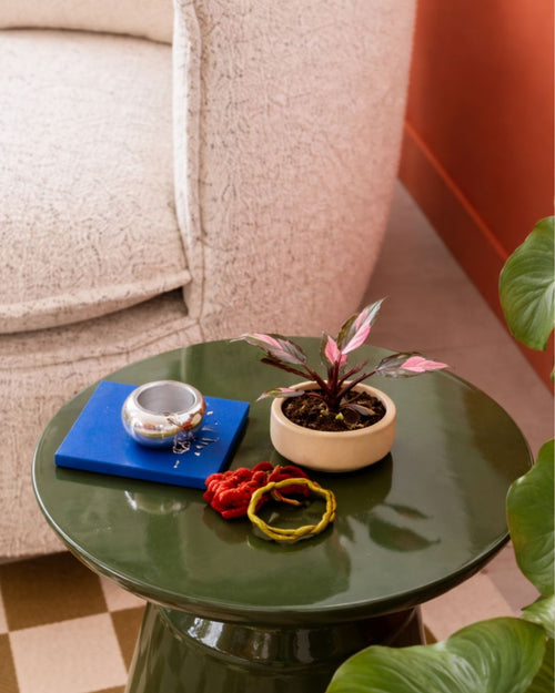 Philodendron Pink Princess Mini - Pur Plant