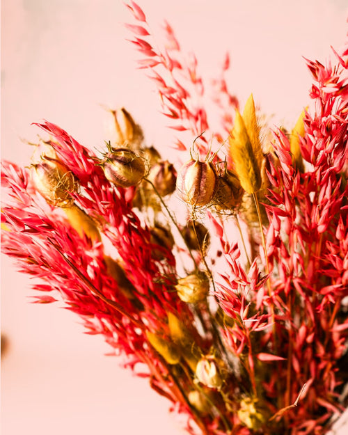 Phoenix – Ramo de Flores Secas - Pur Plant