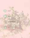 pilea-greyzy-mini-care