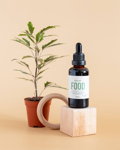 Plant Food – Comida para Plantas Interior 50ml - Pur Plant