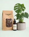 Plant Nutrition Box - Nutrición para Monsteras - Pur Plant