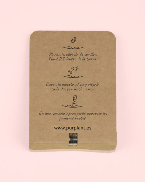 Plant Pill – Cápsula de Semillas Flores Silvestres - Pur Plant