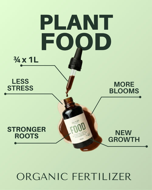 Plant Food – Comida para Plantas Interior 50ml