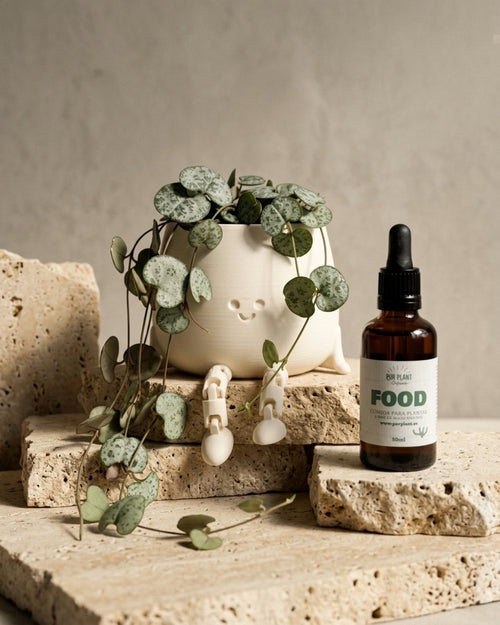 Plant Food – Comida para Plantas Interior 50ml