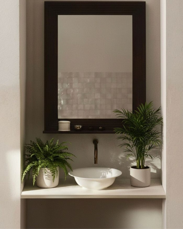 Plantas para el baño