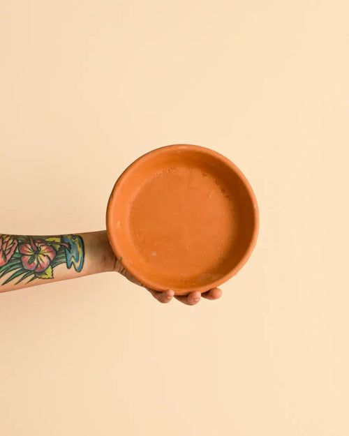 Plato de Maceta Terracota 18cm - Pur Plant