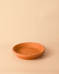 Plato de Maceta Terracota 18cm