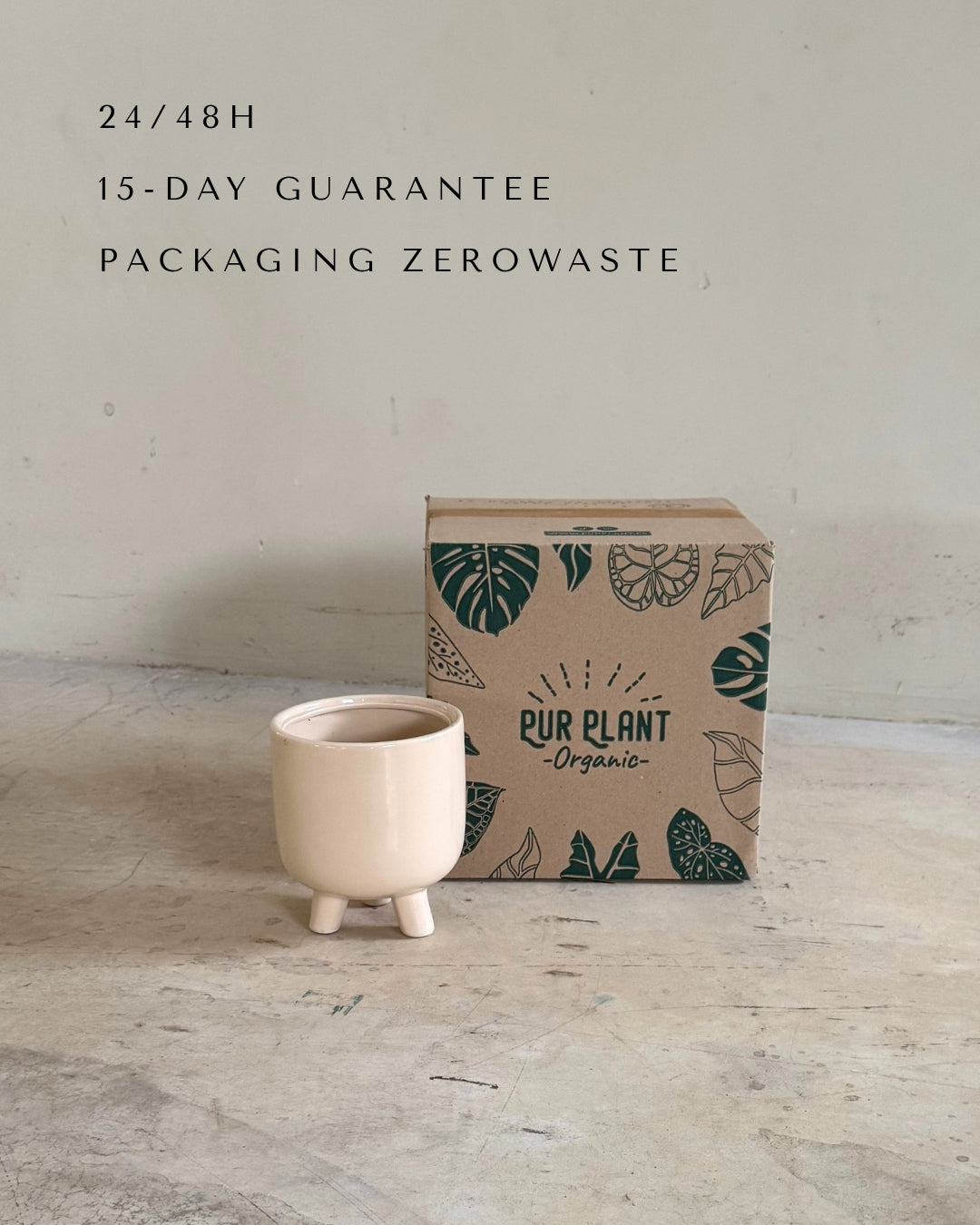 potit-mediana-maceta-packaging
