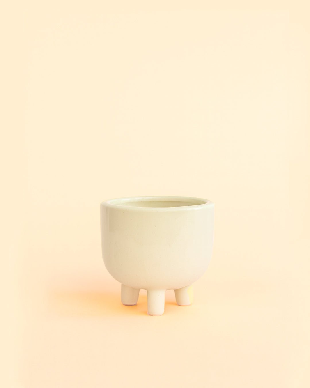 Potit Mini Maceta Cerámica 6 cm - Maceta Decorativa – Pur Plant