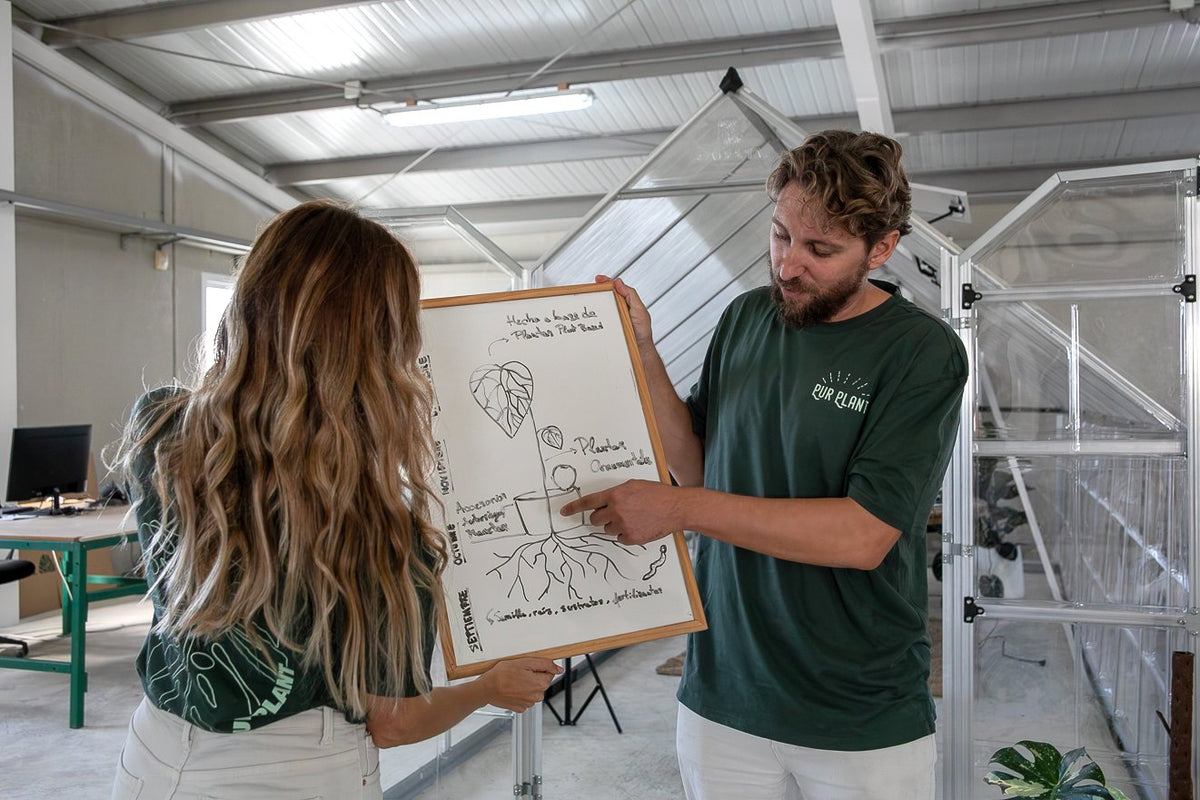 Quentin, fundador de Pur Plant, explica en una pizarra el dibujo de una planta que resume la historia de la marca