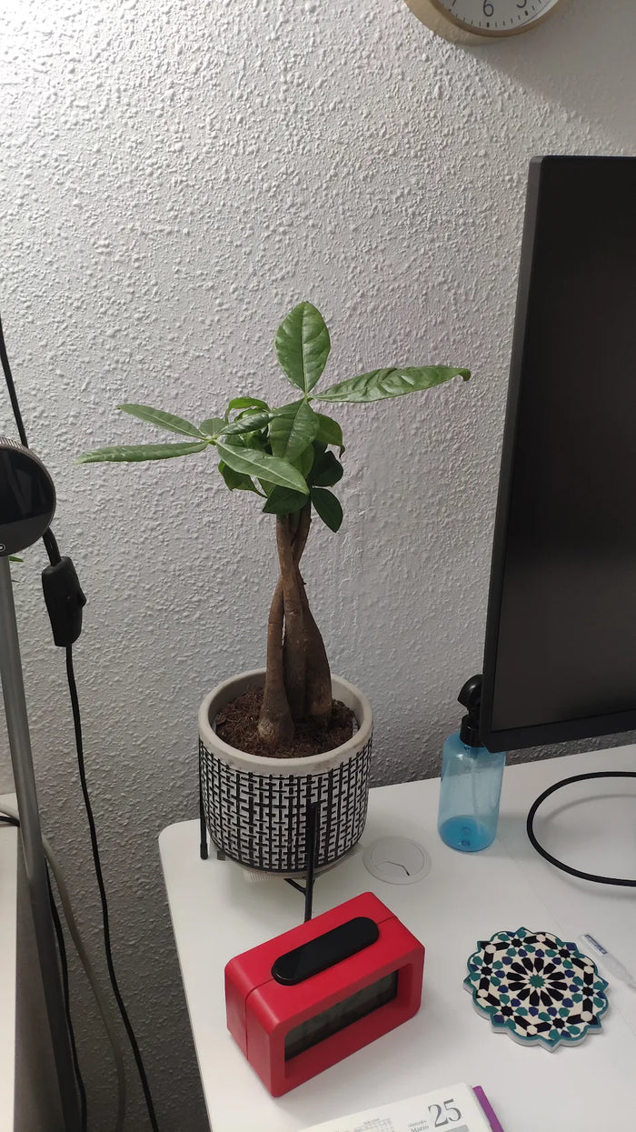 Foto de la reseña de Lara Ibez
