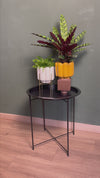Mesa Soporte para Plantas