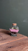 Terrario Pink Love – Fittonia Mini