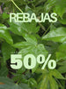 banner rebajas