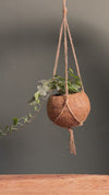Coco Hang – Maceta Colgante de Coco 15 cm