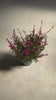 Gaura-video