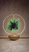 Tillandsia En Círculo De Luz – Dorado