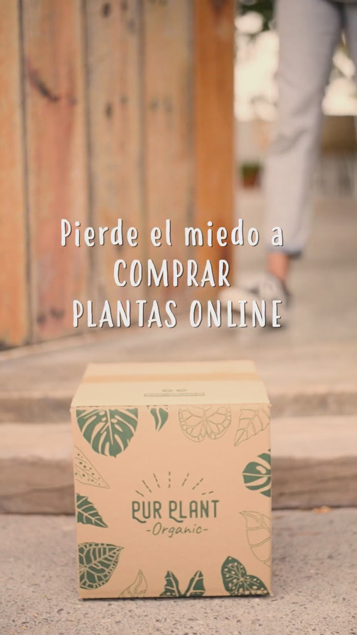 Preparamos tu pedido a prueba de repartidores