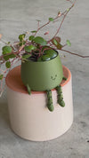 happy-pot-verde-musgo-video-