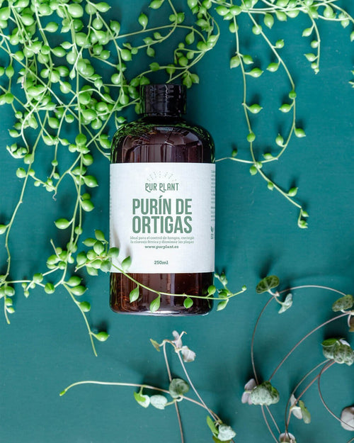 Purín de Ortigas – Orgánico 250ml - Pur Plant