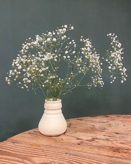 Ramillete de Paniculata Natural - Pur Plant